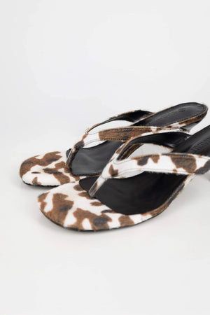 Zapato - ZA02355 - ANP - Reina Diaz