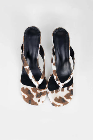 Zapato - ZA02355 - ANP - Reina Diaz