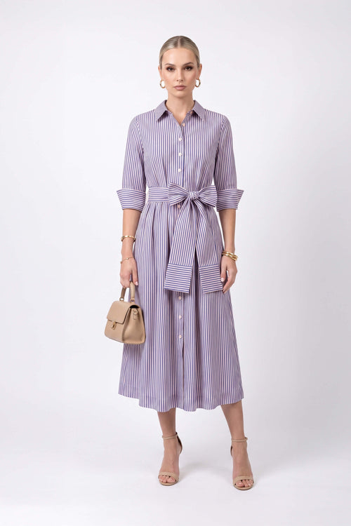 Regina Striped Belted Camisero Vestido 723108AZU