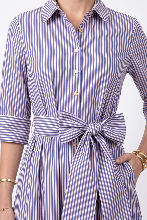 Regina Striped Belted Camisero Vestido 723108AZU