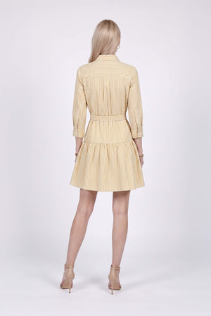 Amalia Striped Shirt Mini Vestido 723125 PER