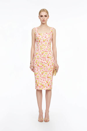 Fragaria Strawberry Print Cotton Sheath Dress - Reina Diaz