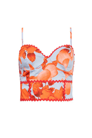 Itza Print Bustier Top - Reina Diaz