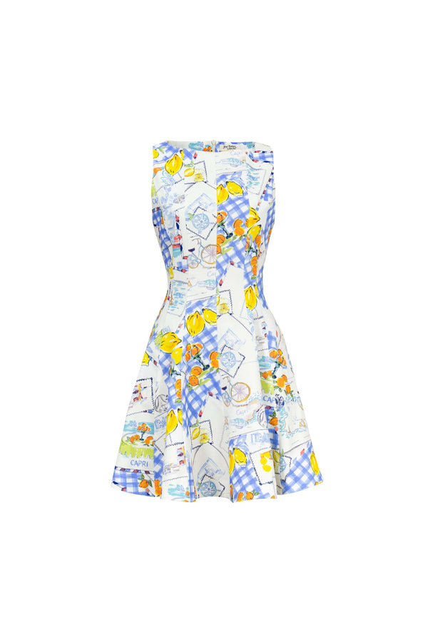 Julieta Sleeveless A - Line Dress - Reina Diaz