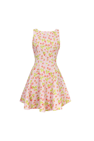Julieta Sleeveless A-Line Dress 723175 ROS - Reina Diaz