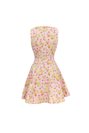 Julieta Sleeveless A-Line Dress 723175 ROS - Reina Diaz