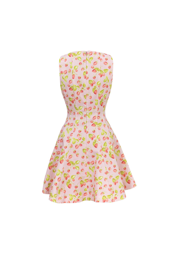 Julieta Sleeveless A-Line Dress 723175 ROS - Reina Diaz