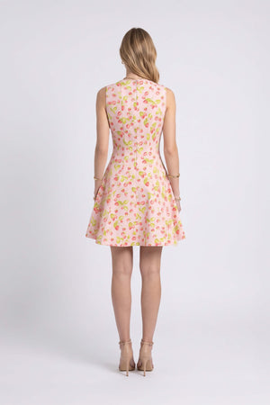 Julieta Sleeveless A-Line Dress 723175 ROS - Reina Diaz