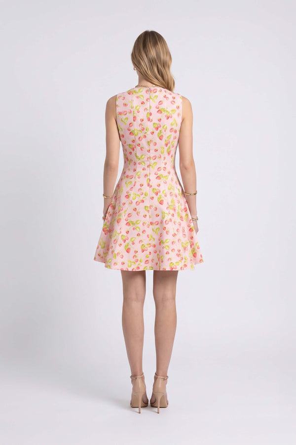 Julieta Sleeveless A-Line Dress 723175 ROS - Reina Diaz