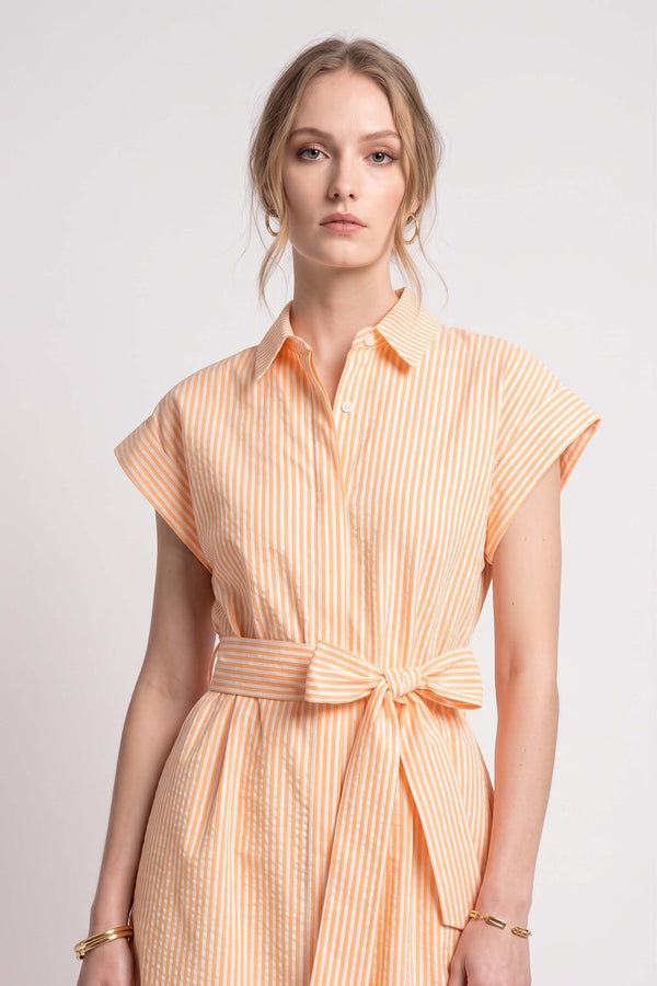 Nora Striped Belted Shirt Midi Vestido 723111 NAR - Reina Diaz