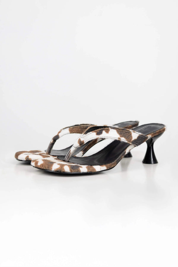 Zapato - ZA02355 - ANP - Reina Diaz